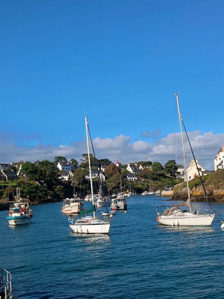 GIF ajouté par Thibault