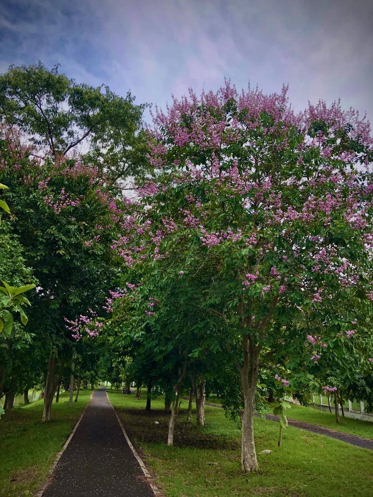 GIF อัปโหลดโดย Beau