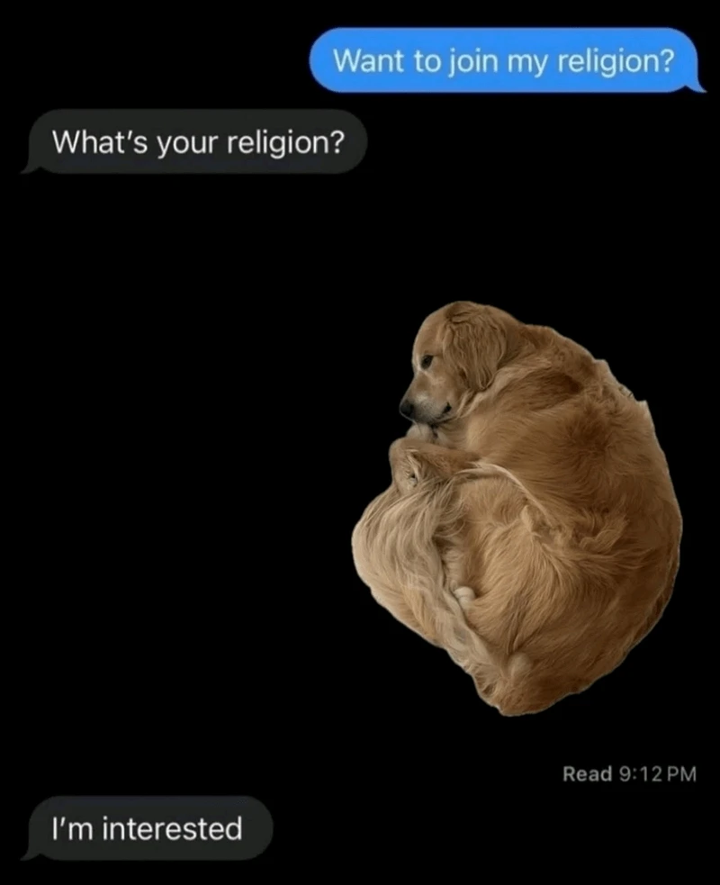 GIF uploaded by Carla