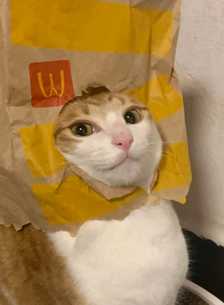 GIF gi-upload ni Jack