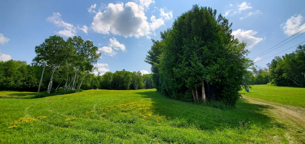 GIF uploaded by Chris