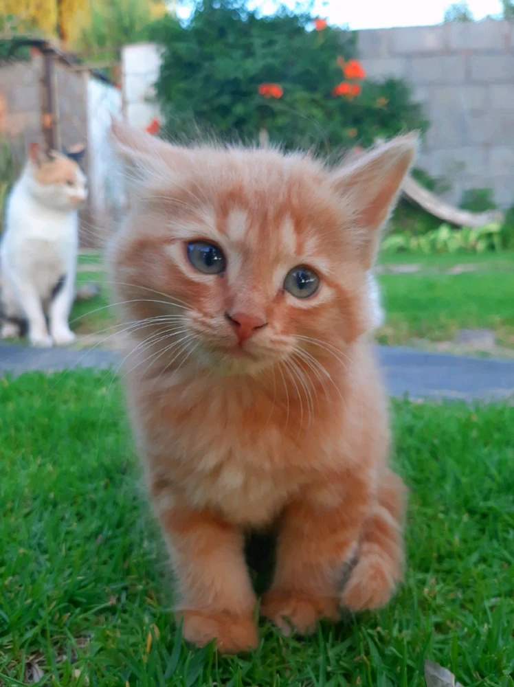 Gi-upload ni Ayden ang hulagway