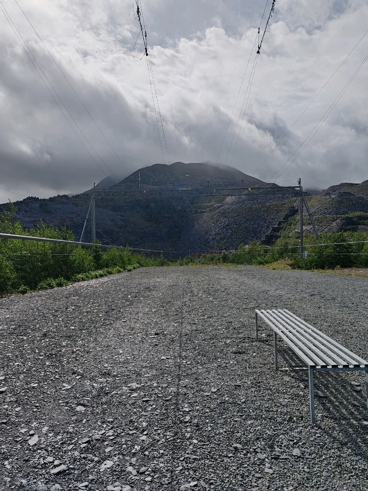 Image uploaded by Shannon