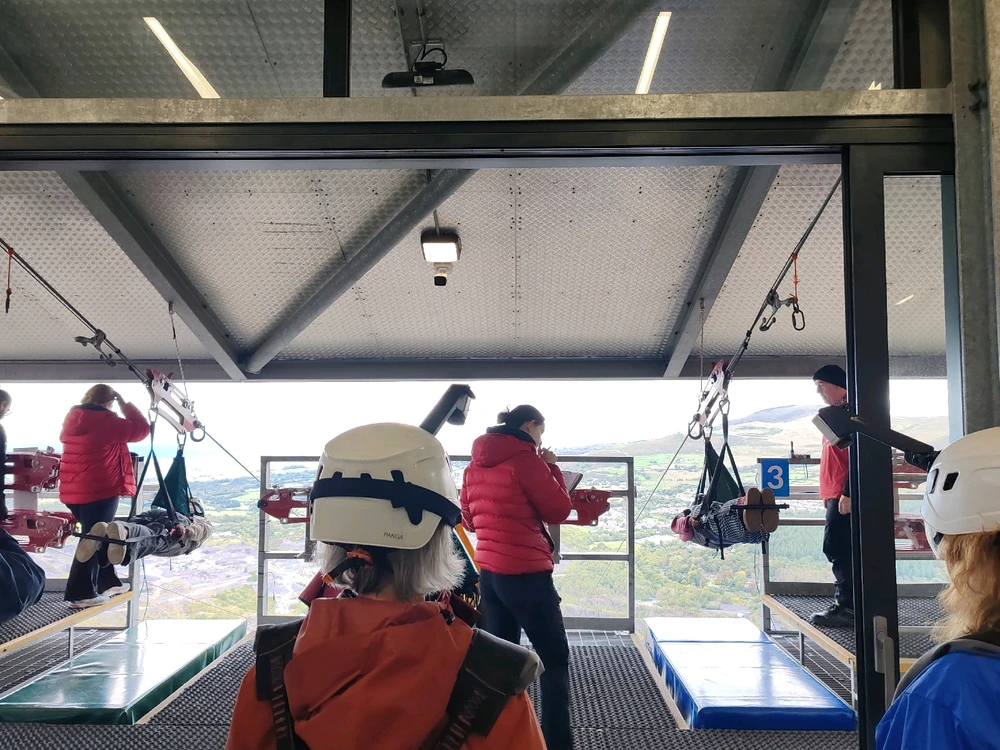 Image uploaded by Shannon