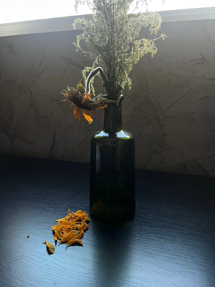 Efêmera, a vida como ela é