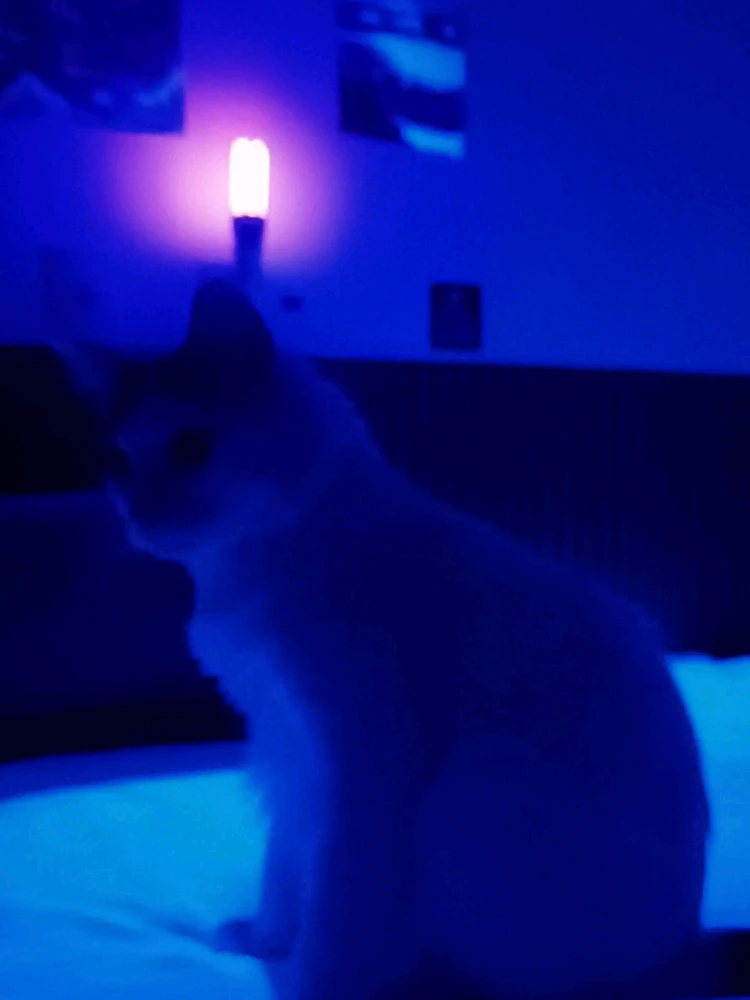 Image uploaded by Let