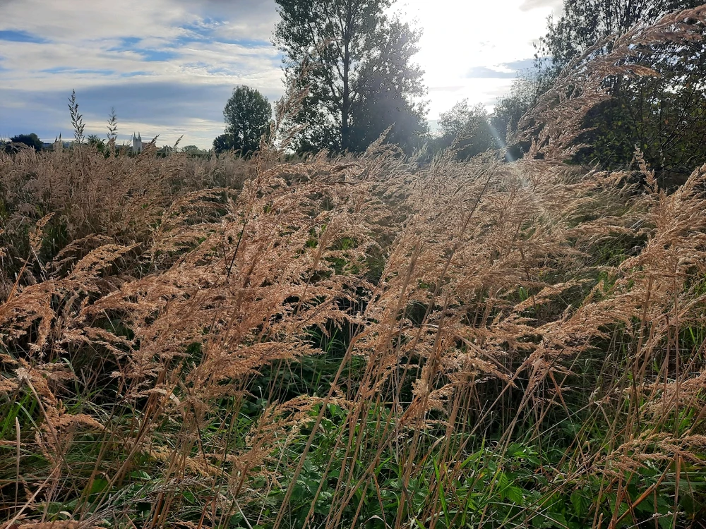 GIF dodany przez Sueñoelespacio