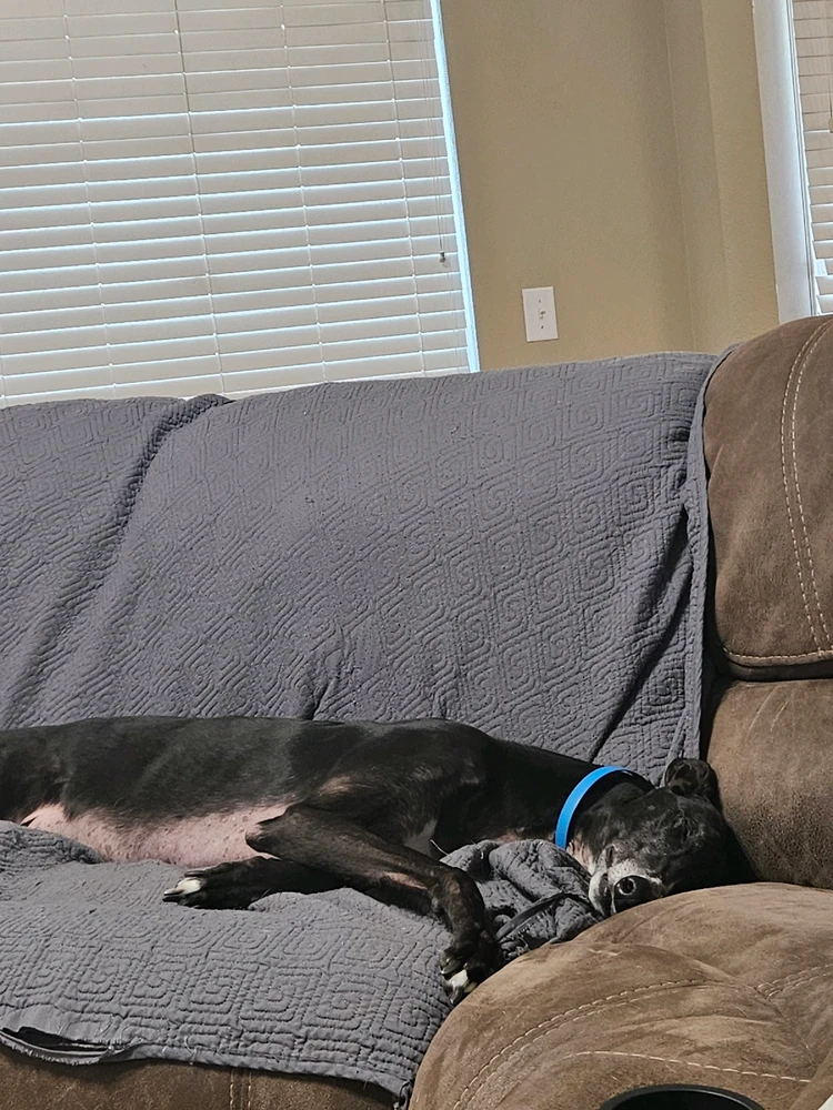 GIF diunggah dening Jason Issac Marez