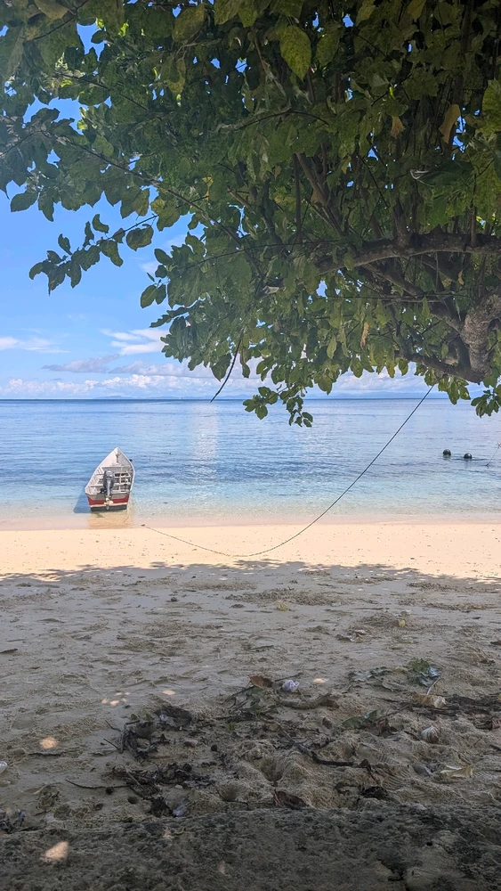 GIF diunggah oleh Faruk