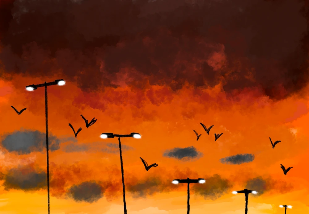 Image uploaded by Connor