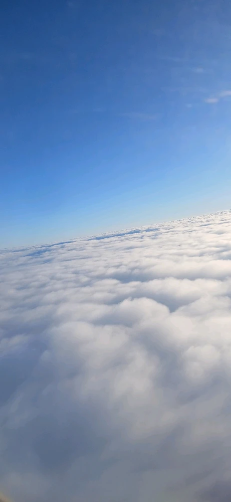 Image uploaded by Broni