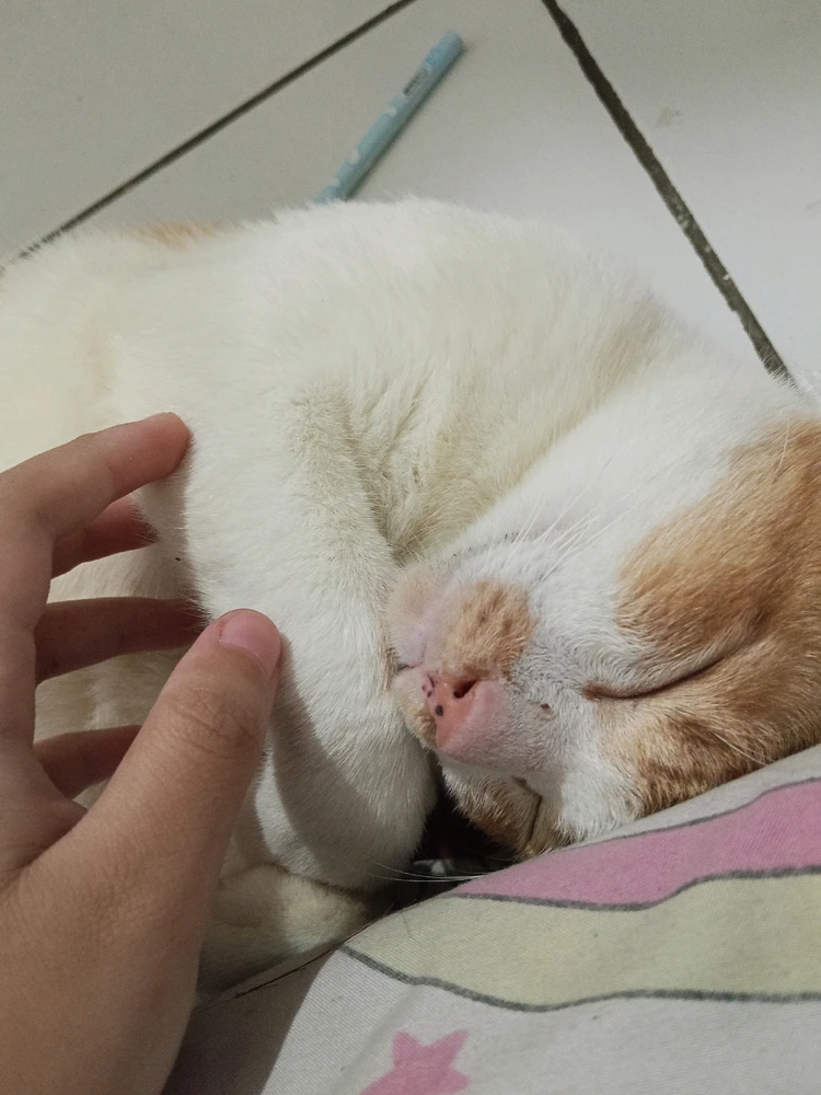 GIF uploaded by L Kavita