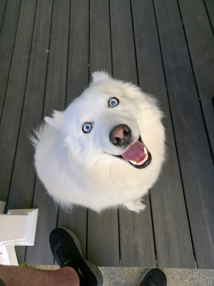 Image uploaded by Daniel