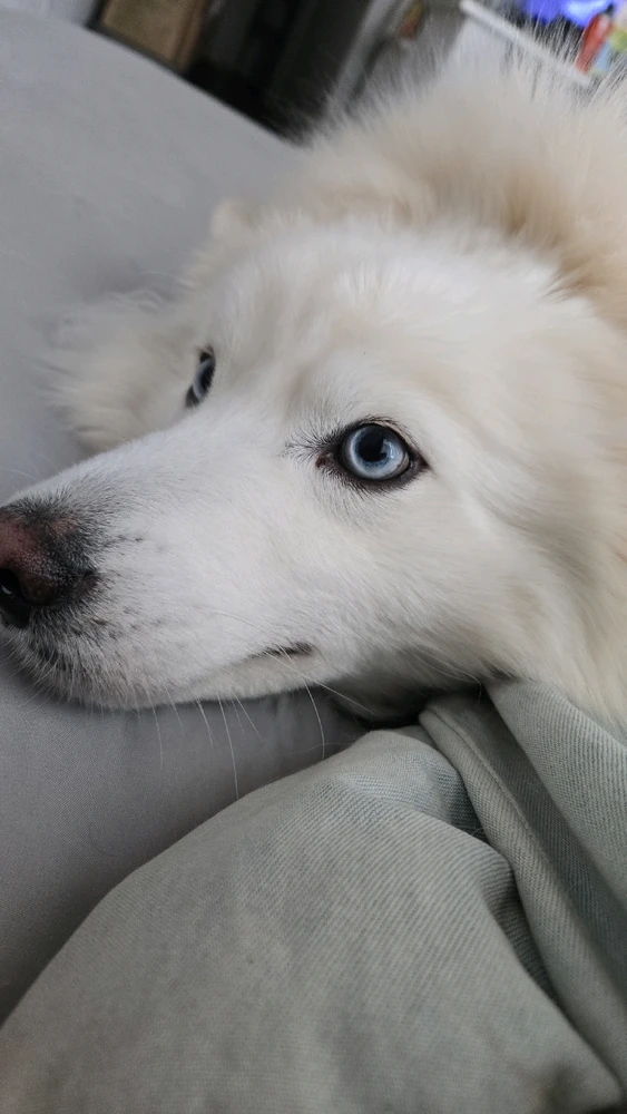 Image uploaded by Daniel