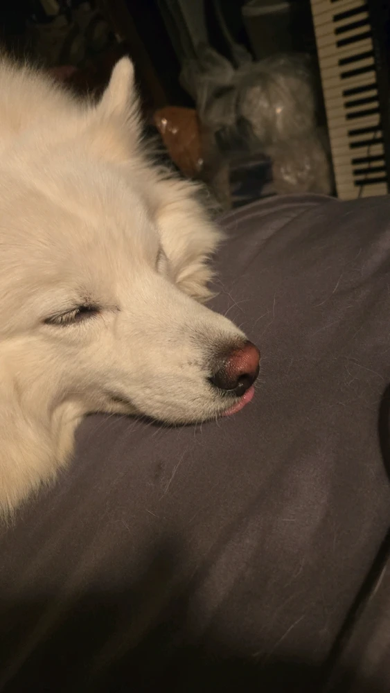 Image uploaded by Daniel