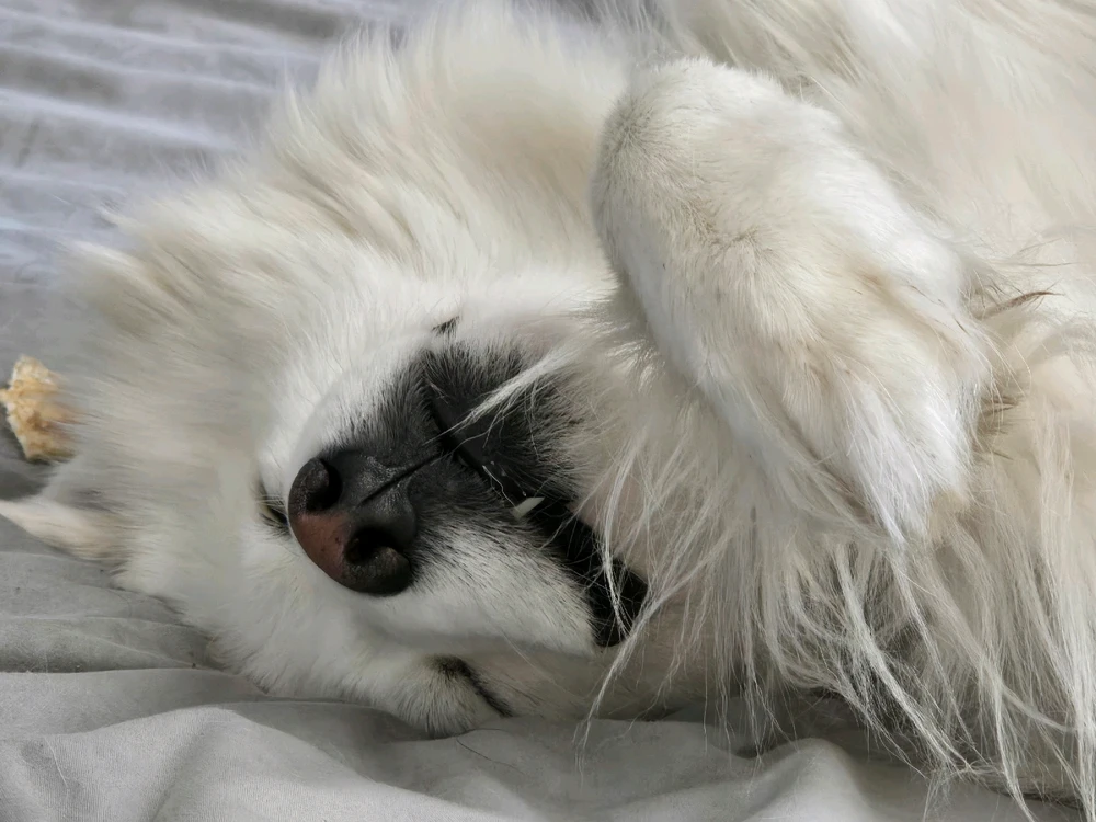 Image uploaded by Daniel