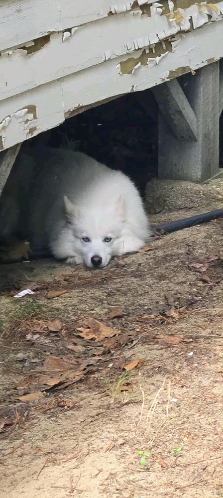 Image uploaded by Daniel