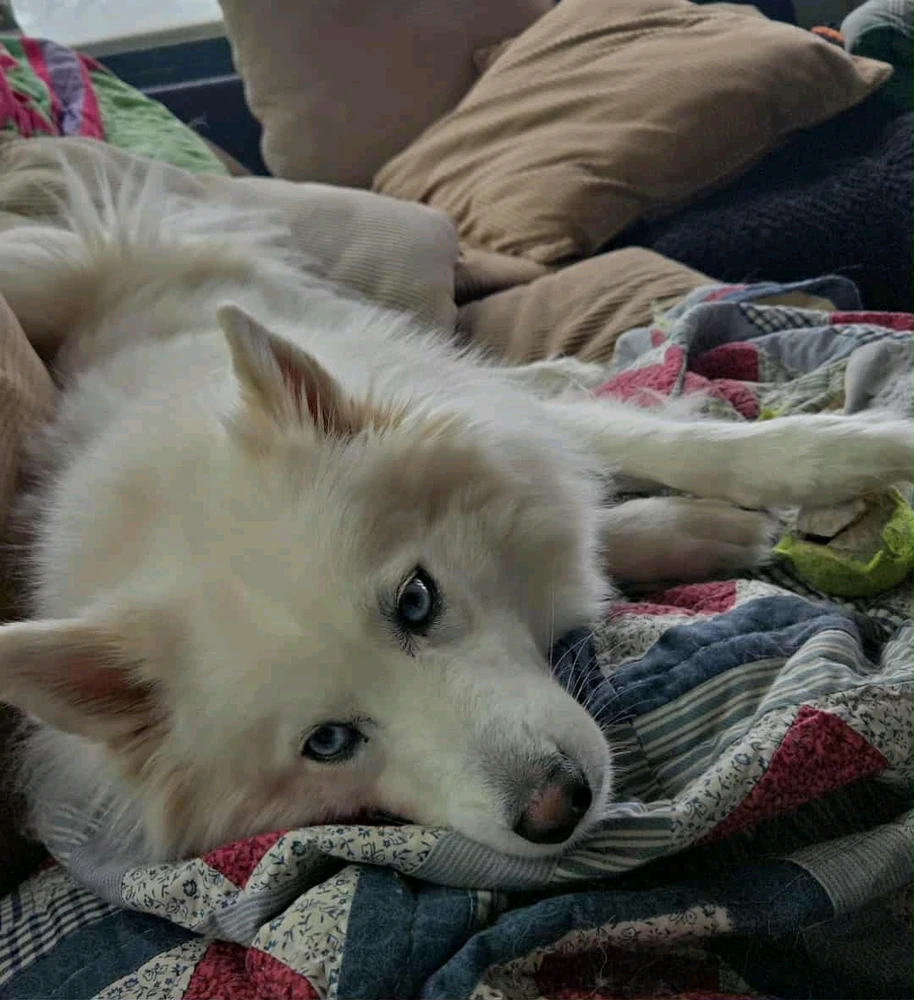 Image uploaded by Daniel