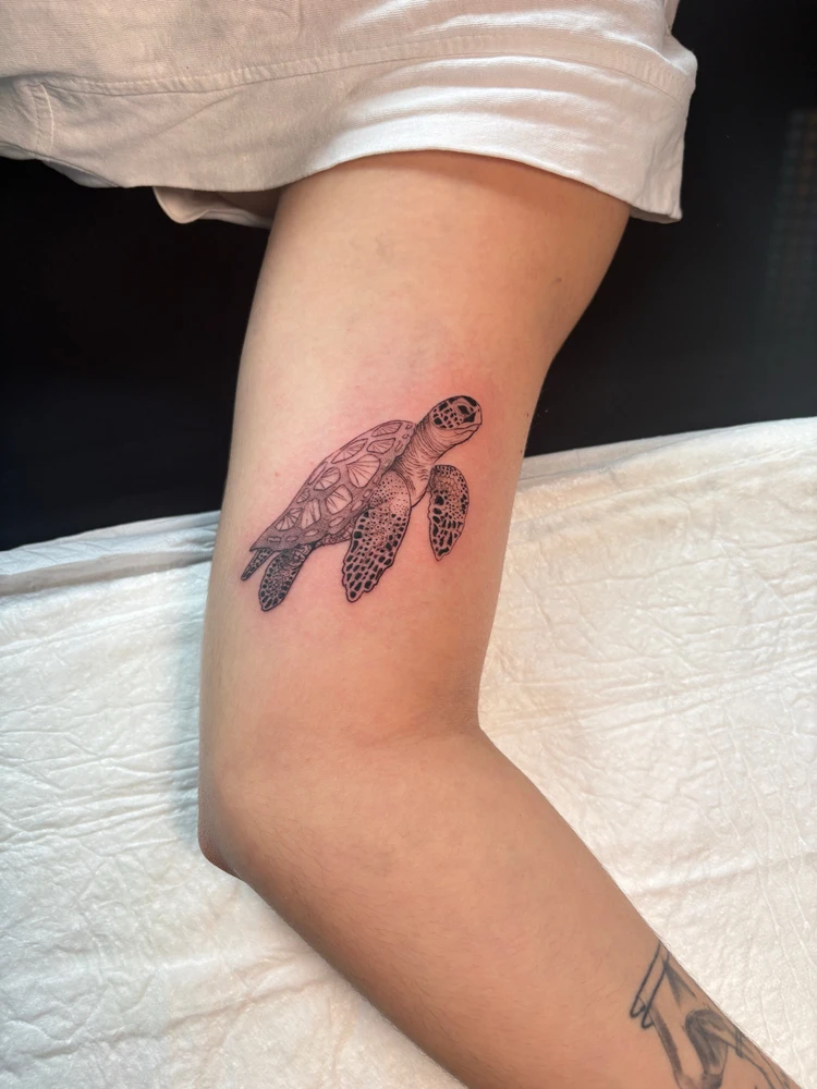 GIF subido por Darío