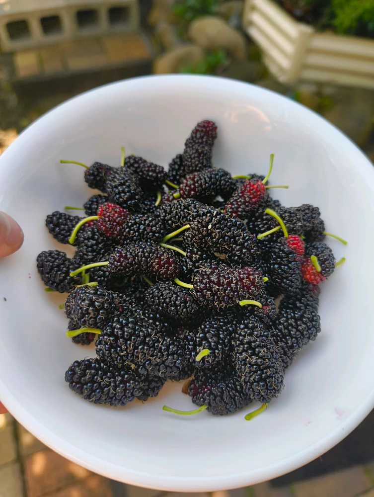 GIF uploaded by Trilby