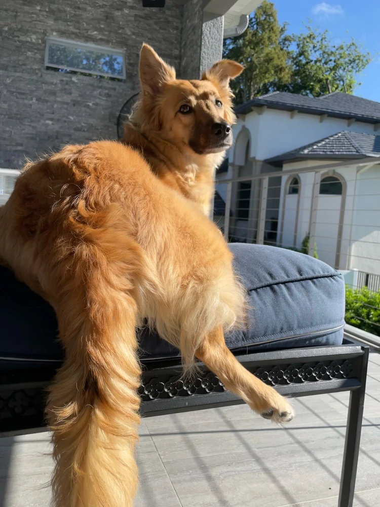 Gambar diunggah dening Erica