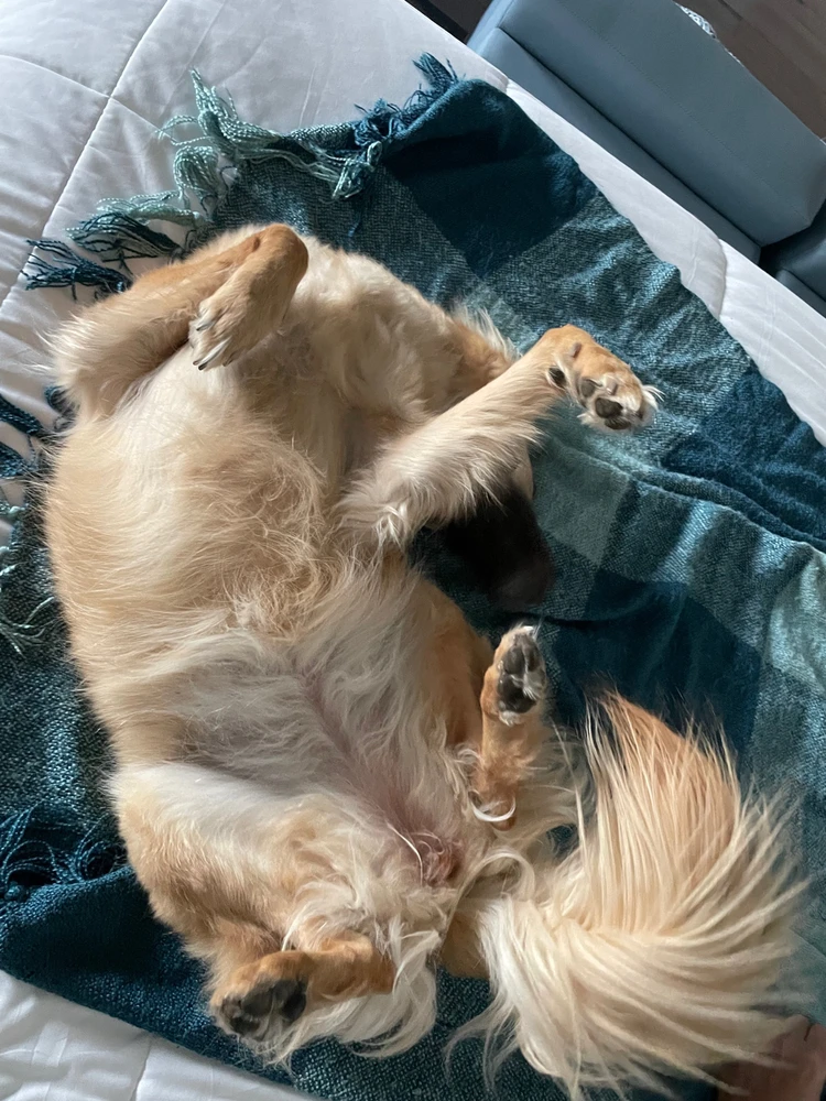 Gambar diunggah dening Erica