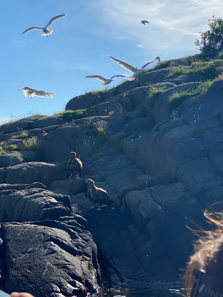 Zdjęcie dodane przez Jakub