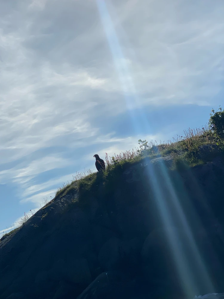 Zdjęcie dodane przez Jakub