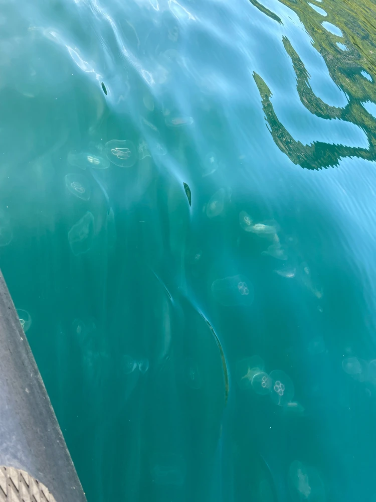 Zdjęcie dodane przez Jakub