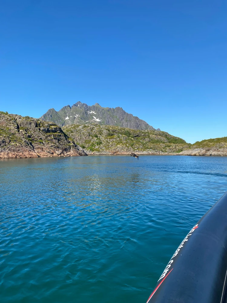 Zdjęcie dodane przez Jakub