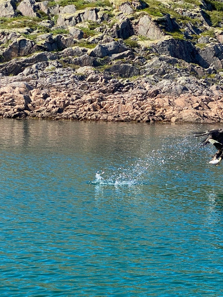 Zdjęcie dodane przez Jakub