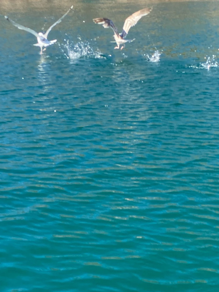 Zdjęcie dodane przez Jakub