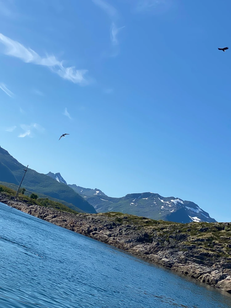 Zdjęcie dodane przez Jakub