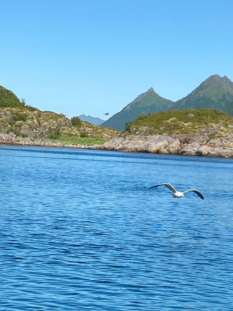 Zdjęcie dodane przez Jakub