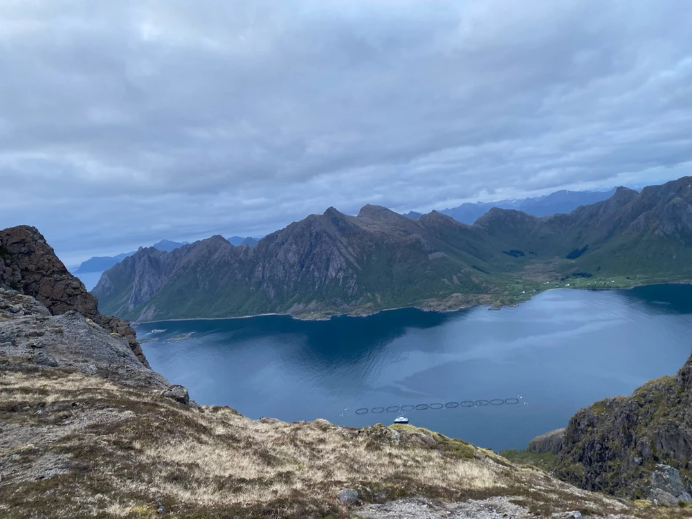 Zdjęcie dodane przez Jakub