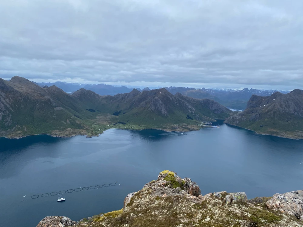 Zdjęcie dodane przez Jakub