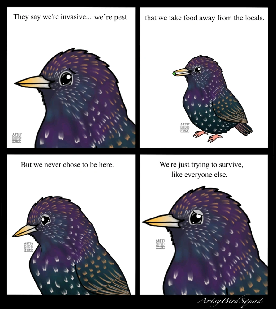 GIF hochgeladen von Osthexe