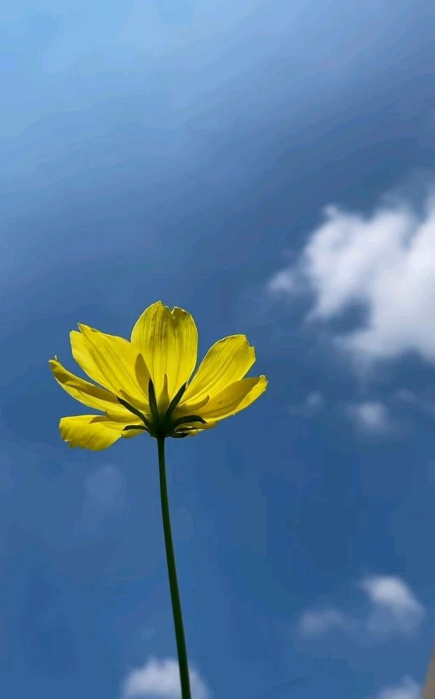 Gambar diunggah oleh Sonia