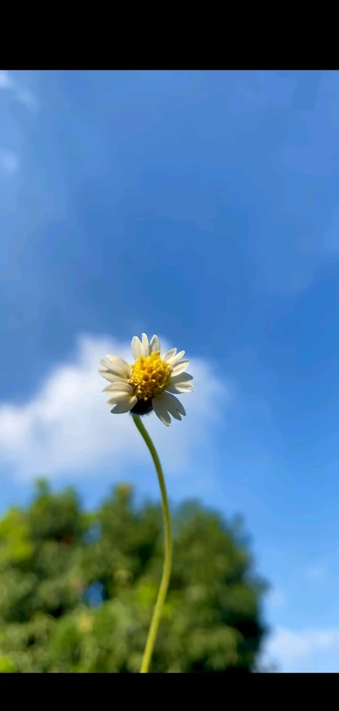 Gambar diunggah oleh Sonia