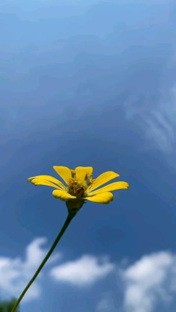 Gambar diunggah oleh Sonia