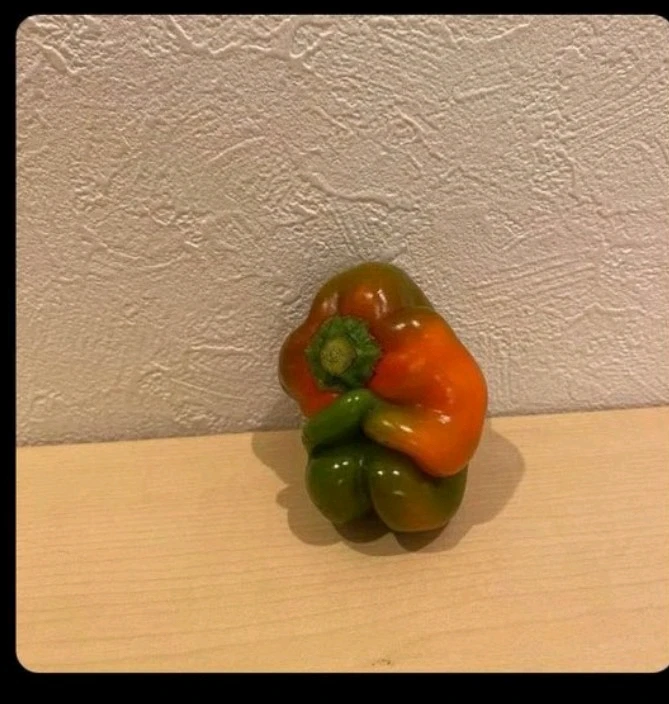 𝔼ᖇ𝒹𝓪ㄥ tarafından yüklenen GIF