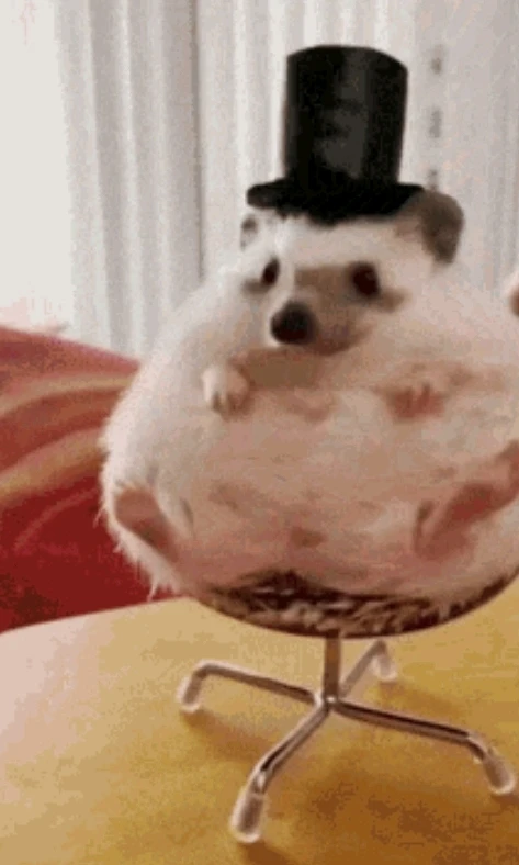 GIF subido por Miguel