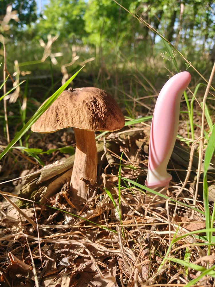 Zdjęcie dodane przez Krzysztof