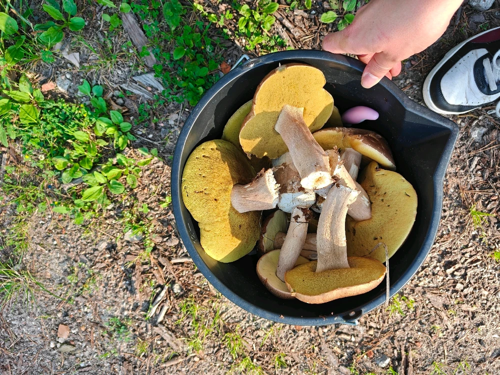 Zdjęcie dodane przez Krzysztof