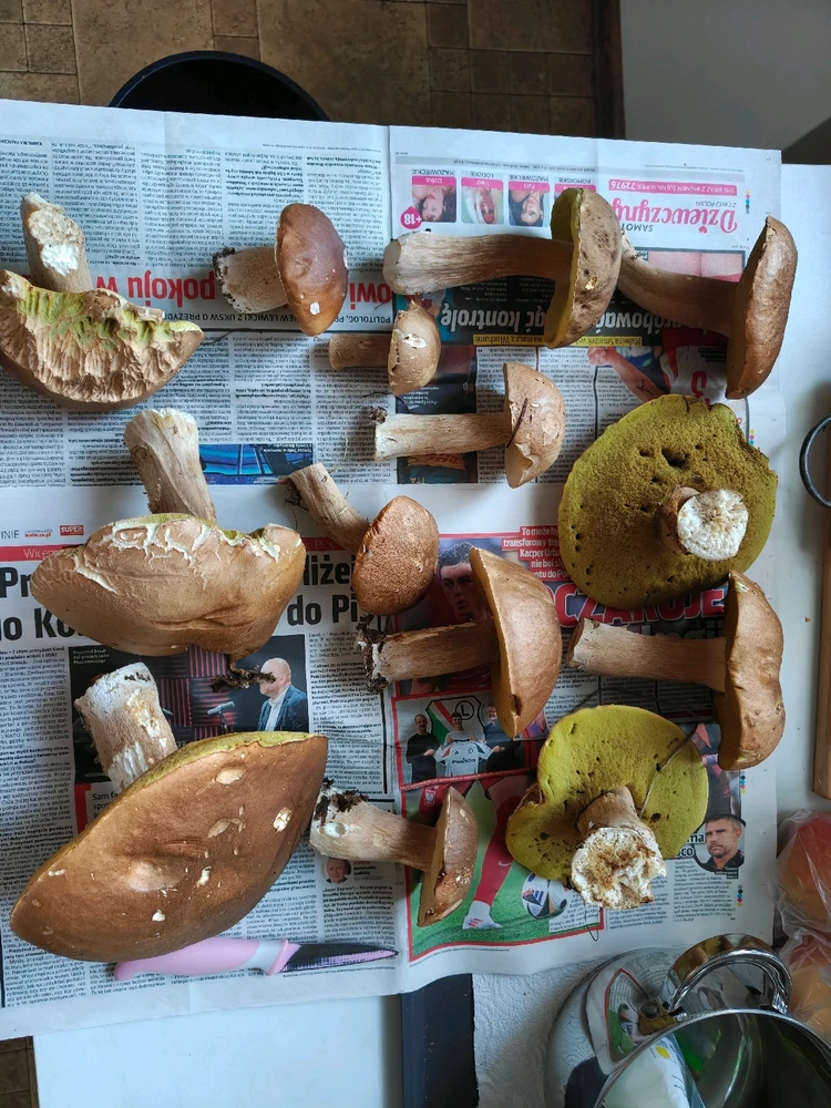 Zdjęcie dodane przez Krzysztof