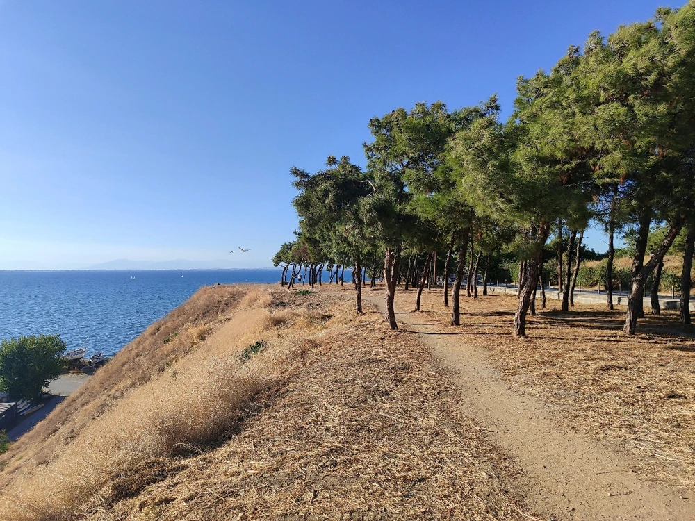 Εικόνα από Leonidas