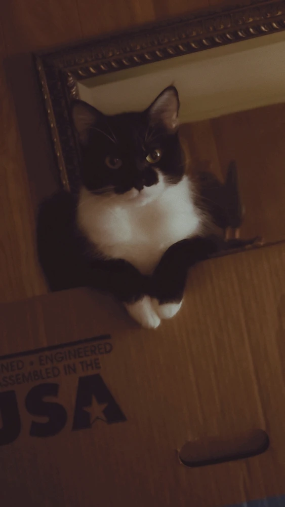 GIF uploaded by Abby