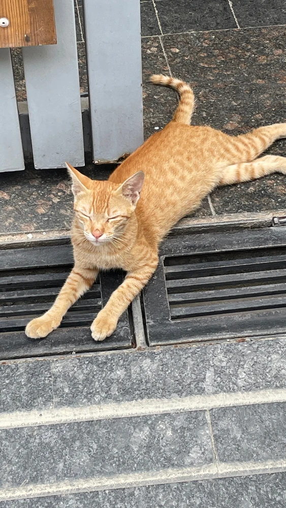 GIF uploaded by Ankur