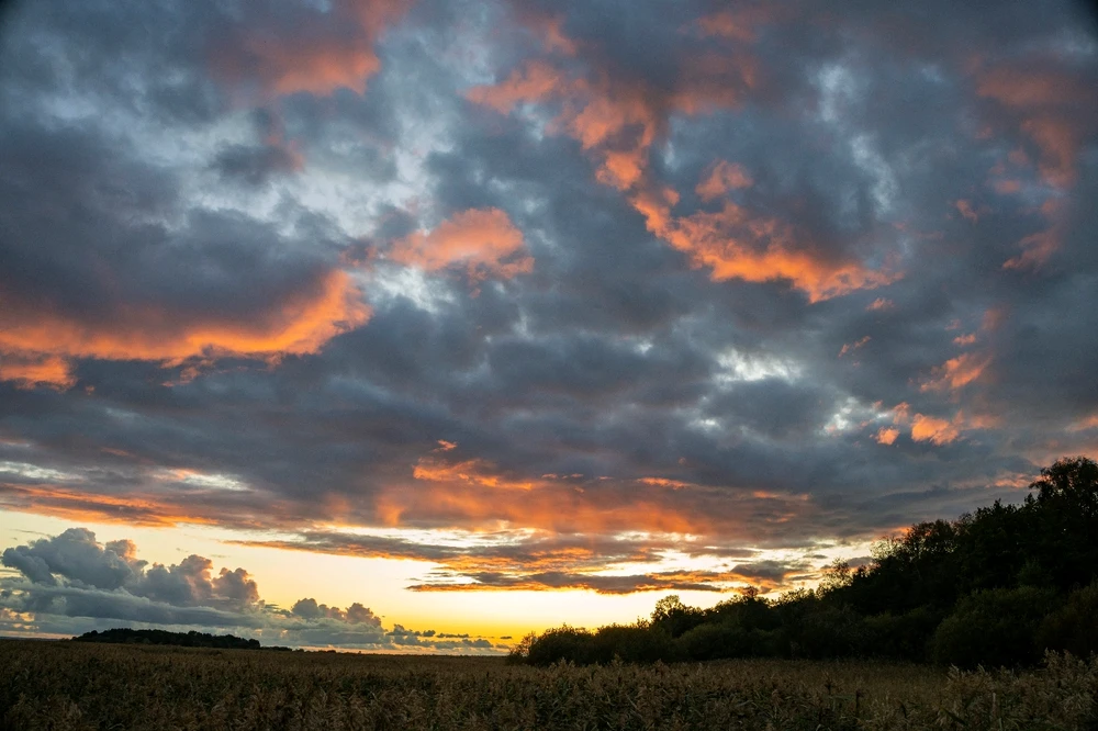 GIF загрузил Слоник