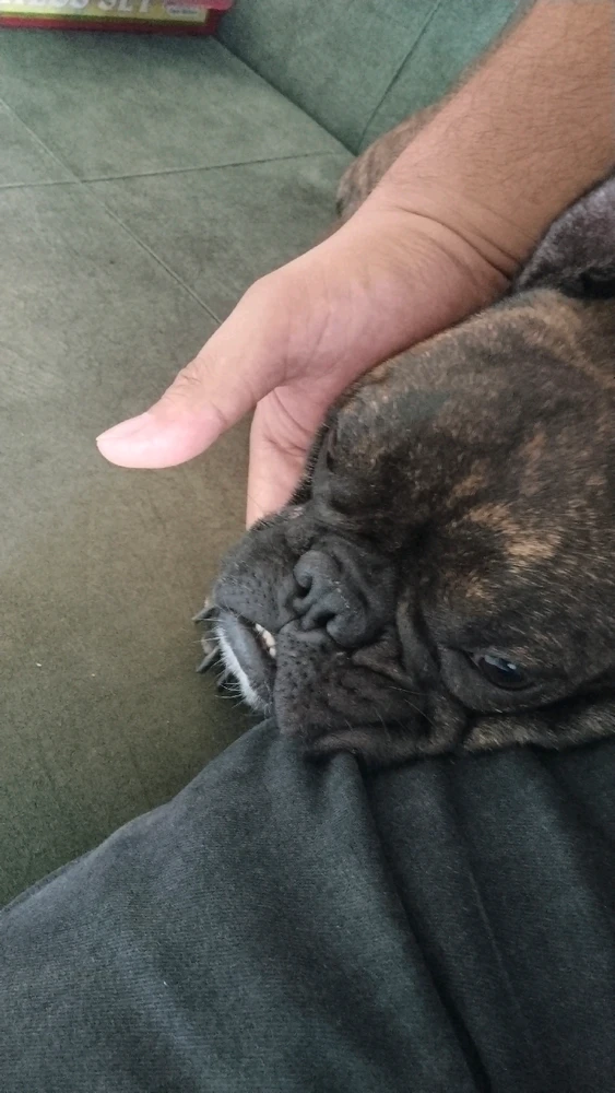 Barış tarafından yüklenen GIF